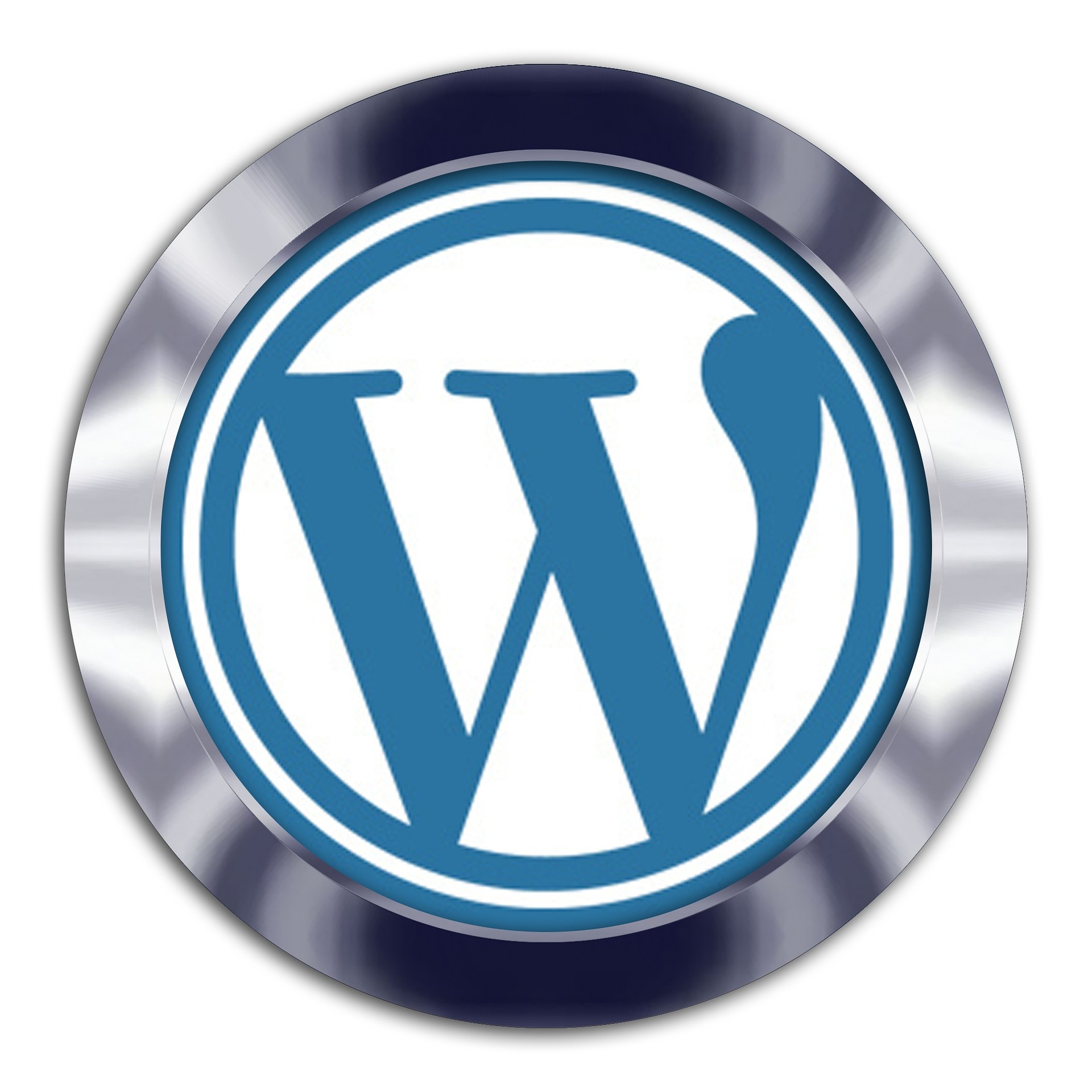 WordPress logo representing website development, design, and management services by TLD USA