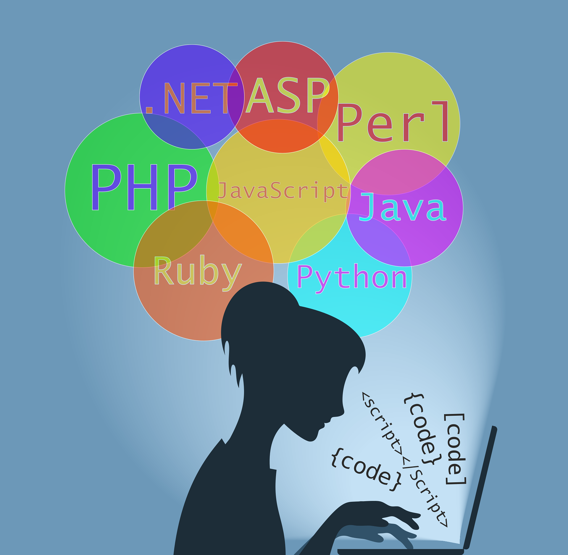 Image showing programming languages .NET, PHP, Ruby, Python, Perl, Java, and JavaScript representing software development and coding expertise by TLD USA