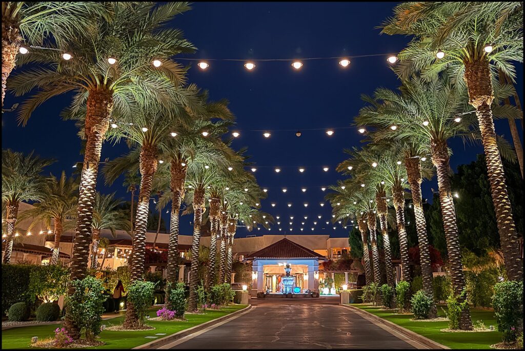 Palm tree walkway in Scottsdale Arizona by TLD USA