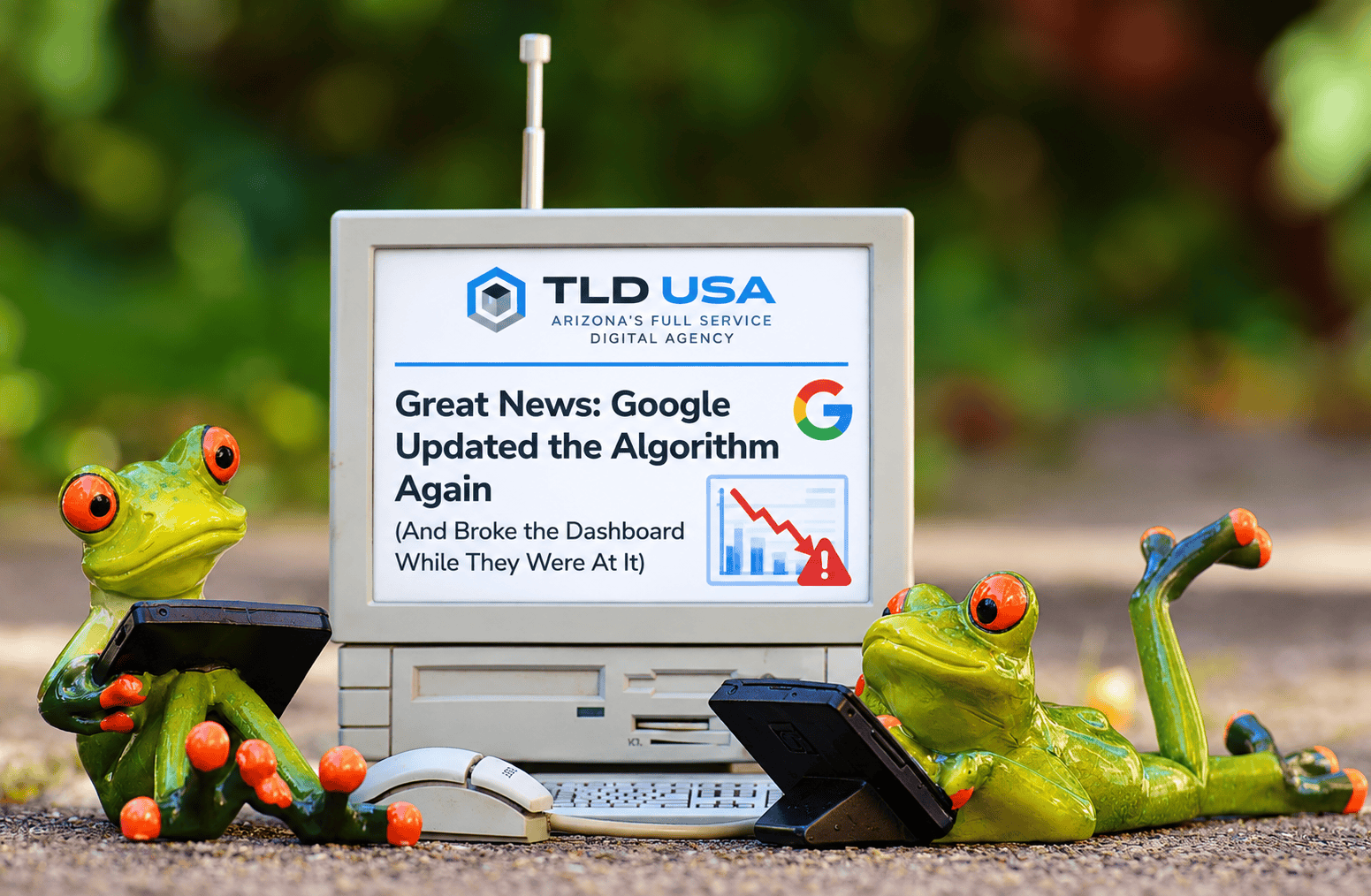 Graphic depicting Google September 2026 core update graph volatility and local SEO optimization strategies by TLD USA.